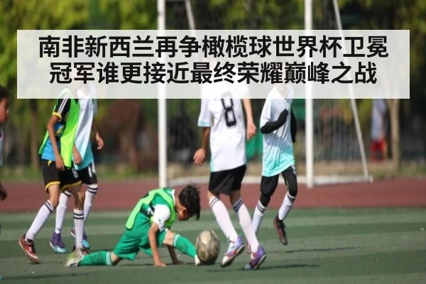南非新西兰再争橄榄球世界杯卫冕冠军谁更接近最终荣耀巅峰之战